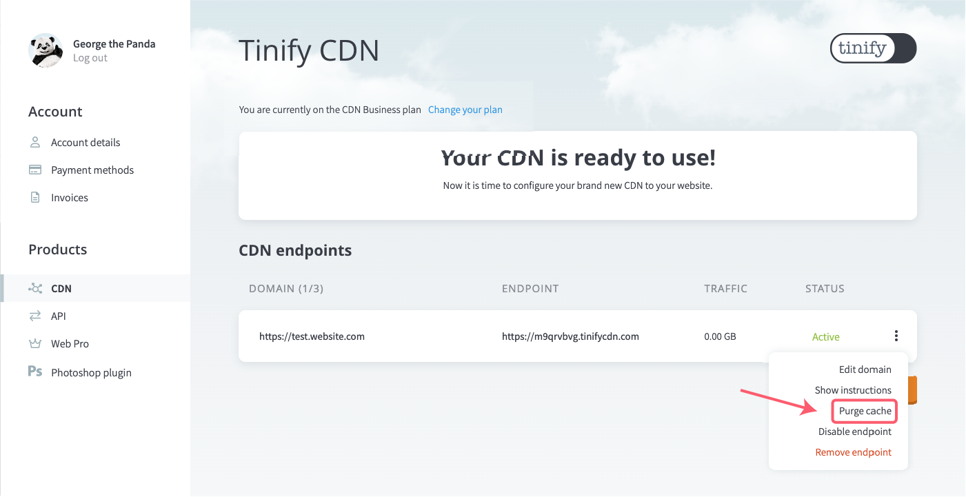 Tinify CDN select purge cache in options